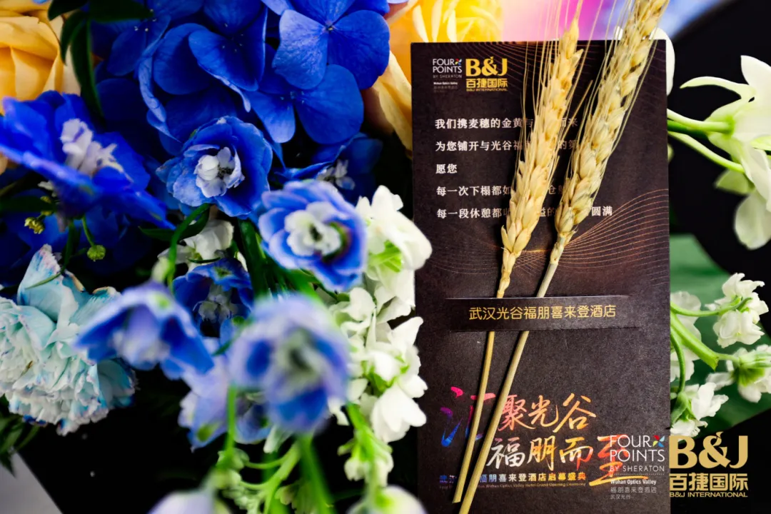 圖片5.png 圖片5.png