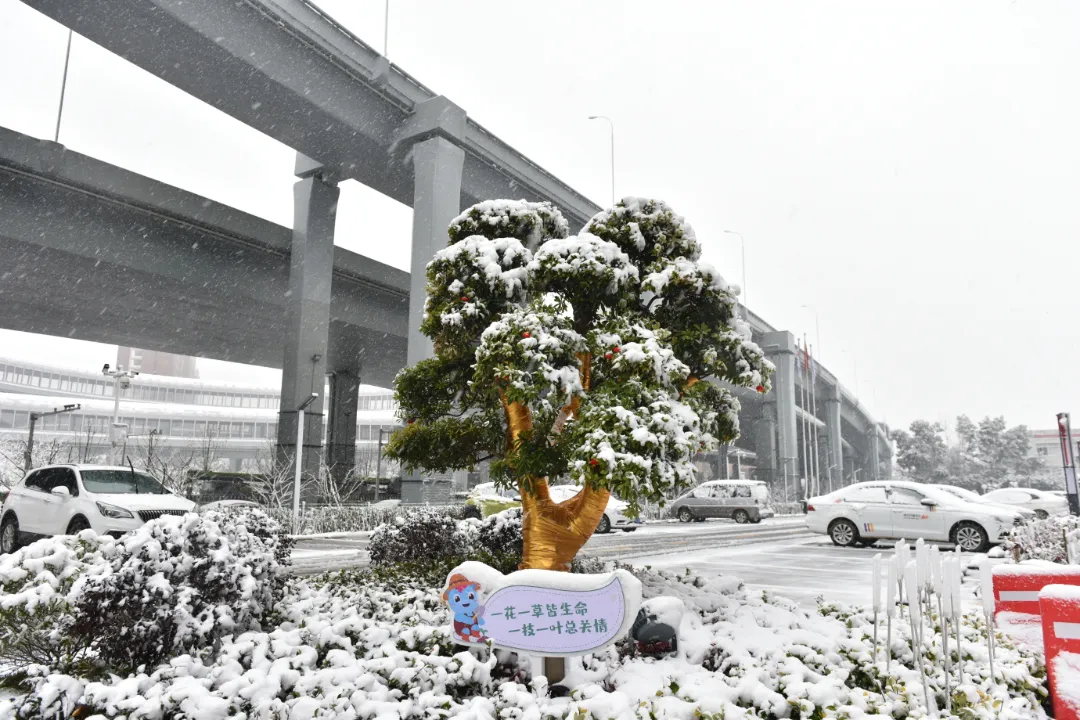 圖片 11.png 圖片 11.png